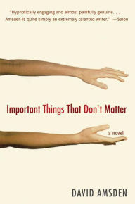 Title: Important Things That Don't Matter: A Novel, Author: David Amsden