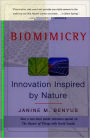 Biomimicry: Innovation Inspired by Nature