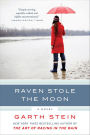 Raven Stole the Moon: A Novel