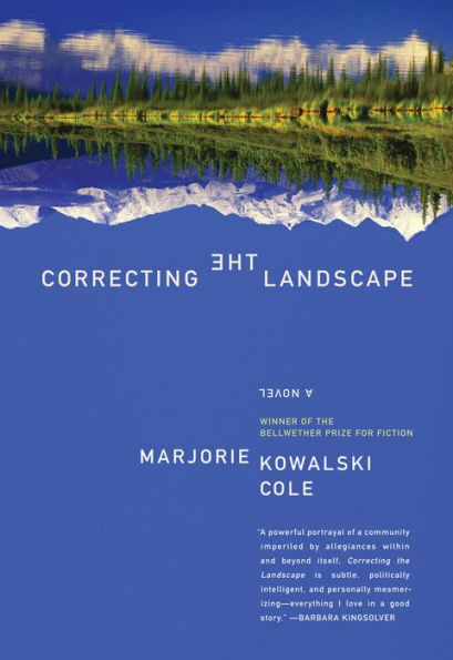 Correcting the Landscape: A Novel