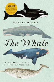 Title: The Whale: In Search of the Giants of the Sea, Author: Philip Hoare
