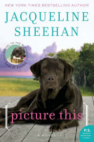Title: Picture This: A Novel, Author: Jacqueline Sheehan