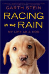 Alternative view 1 of Racing in the Rain: My Life as a Dog