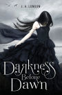 Darkness Before Dawn (Darkness Before Dawn Series #1)