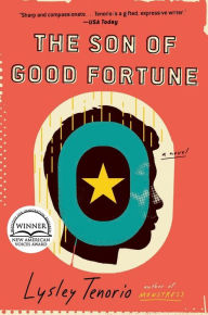 Download a book to kindle ipad The Son of Good Fortune: A Novel