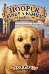 Title: Hooper Finds a Family: A Hurricane Katrina Dog's Survival Tale, Author: Jane Paley
