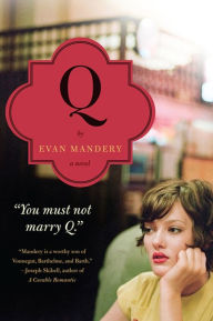Title: Q: A Novel, Author: Evan Mandery