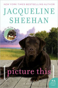 Title: Picture This: A Novel, Author: Jacqueline Sheehan