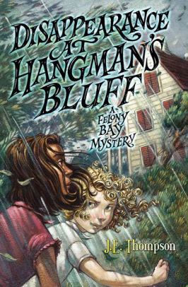 Disappearance At Hangmans Bluff A Felony Bay Mysteryhardcover - 