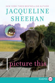 Title: Picture This: A Novel, Author: Jacqueline Sheehan