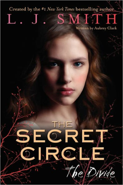 The Divide (Secret Circle Series #4)