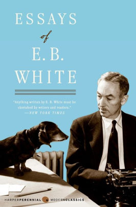 Essays Of E. B. White By E. B. White, Paperback | Barnes & Noble®