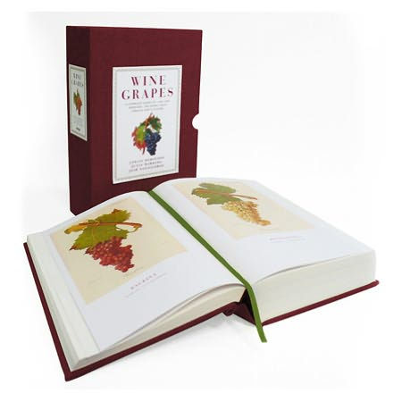 Wine Grapes: A Complete Guide to 1,368 Vine Varieties, Including Their Origins and Flavours