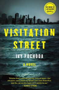 Title: Visitation Street: A Novel, Author: Ivy Pochoda