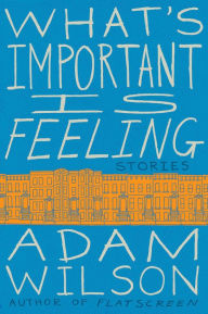 Title: What's Important Is Feeling: Stories, Author: Adam Wilson