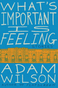 Title: What's Important Is Feeling: Stories, Author: Adam Wilson