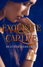 Exquisite Captive (Dark Caravan Cycle Series #1)