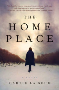 Title: The Home Place: A Novel, Author: Carrie La Seur