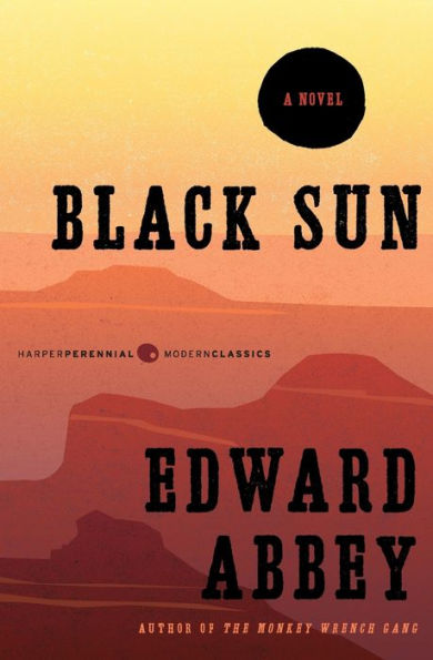 Black Sun: A Novel