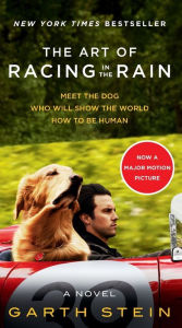 Online downloads of books The Art of Racing in the Rain Movie Tie-in Edition: A Novel by Garth Stein DJVU (English literature) 9780062370945