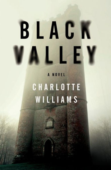 Black Valley: A Novel