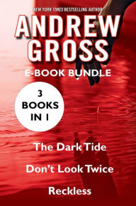 Title: The Andrew Gross: The Dark Tide, Don't Look Twice, and Reckless, Author: Andrew Gross