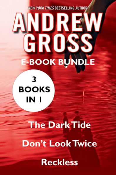 The Andrew Gross: The Dark Tide, Don't Look Twice, and Reckless