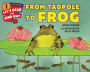 From Tadpole to Frog