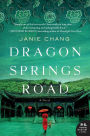 Dragon Springs Road: A Novel