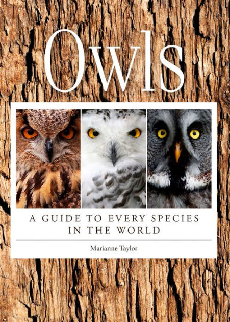 Owls: A Guide to Every Species in the World by Marianne Taylor | eBook ...