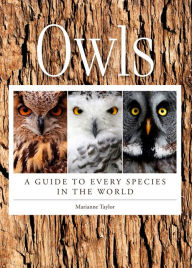 Title: Owls: A Guide to Every Species in the World, Author: Marianne Taylor