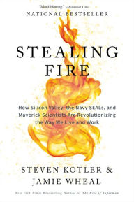 Google e books free download Stealing Fire: How Silicon Valley, the Navy SEALs, and Maverick Scientists Are Revolutionizing the Way We Live and Work by Steven Kotler, Jamie Wheal PDF English version 9780062429667