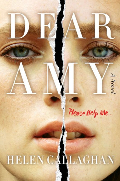 Dear Amy: A Novel