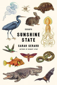 Title: Sunshine State, Author: Sarah Gerard