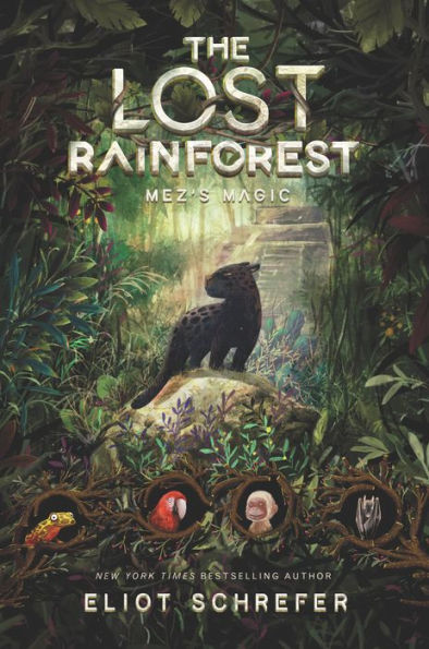 Mez's Magic (The Lost Rainforest Series #1)