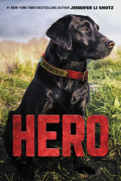 Hero (Hero Series #1)