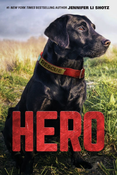 Hero (Hero Series #1)