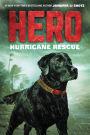 Hurricane Rescue (Hero Series #2)