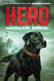 Title: Hurricane Rescue (Hero Series #2), Author: Jennifer Li Shotz