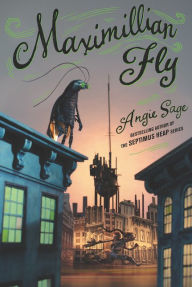 Title: Maximillian Fly, Author: Angie Sage