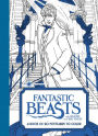 Fantastic Beasts and Where to Find Them: A Book of 20 Postcards to Color: A Coloring Book