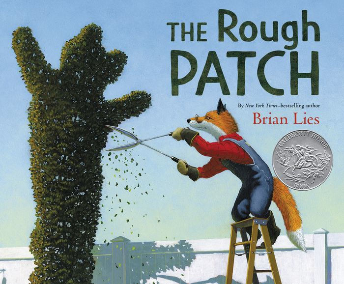The Rough Patch by Brian Lies, Hardcover | Barnes & Noble®