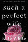 Such a Perfect Wife: A Novel