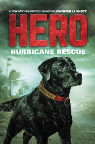 Title: Hurricane Rescue (Hero Series #2), Author: Jennifer Li Shotz