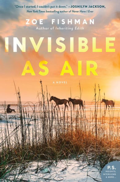 Invisible as Air: A Novel