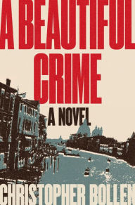 Download pdf free books A Beautiful Crime: A Novel