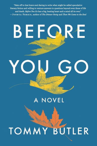 Before You Go: A Novel