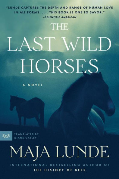 The Last Wild Horses: A Novel
