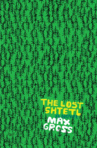 Free download ebook textbook The Lost Shtetl: A Novel in English 9780062991140 by Max Gross