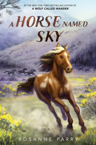 Title: A Horse Named Sky, Author: Rosanne Parry